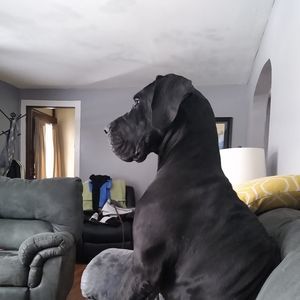 Meet your Posher, Tammy